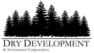 Dry Development and Investment Corporation, Consulting, Project, Team
